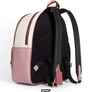 Bags,Leather,Women Coach leather Court Backpack With Stripe Heart Motif Style No. CA246 Coach