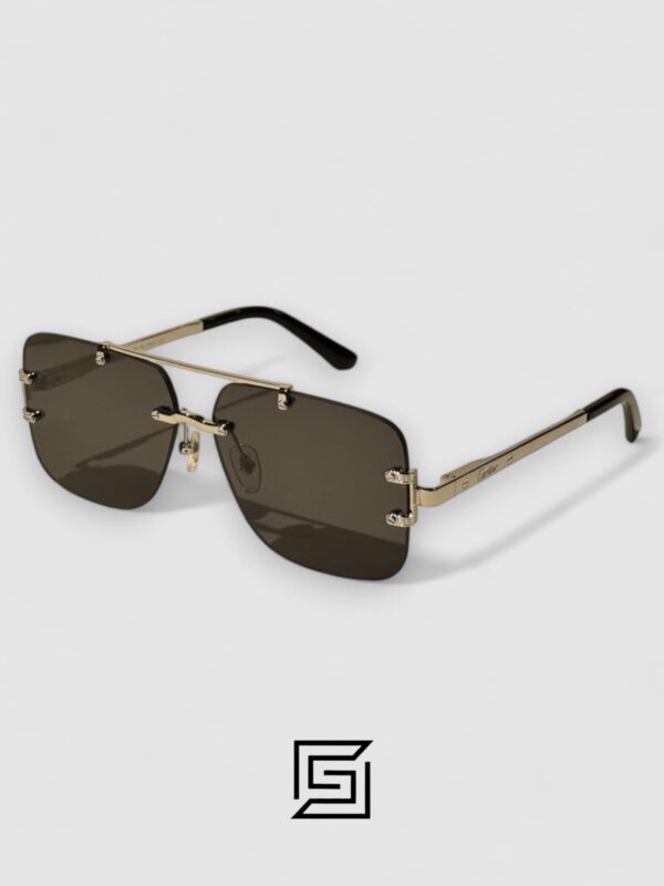 Men,Sunglasses,Women CARTEIR Sunglasses CT8160 Cartier