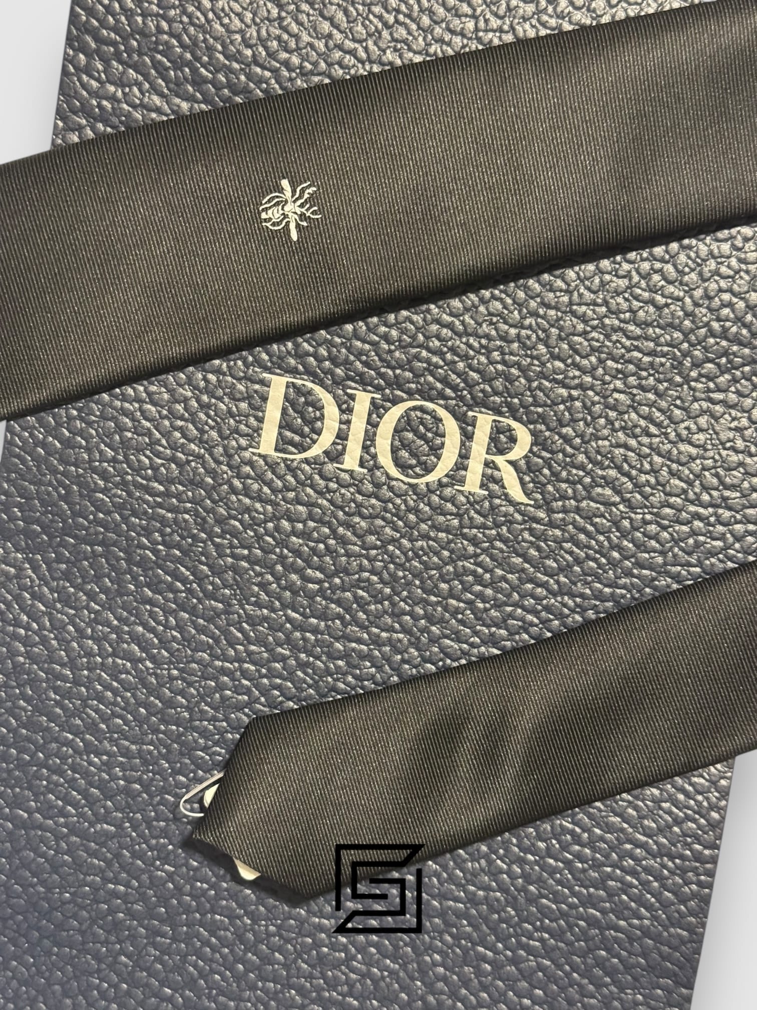 Ties Dior - Black Color With CD Bee Logo Dior